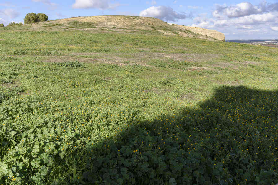 Málaga - Antequera 42 - Dólmenes de Antequera - Dolmen de Menga.jpg